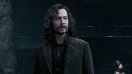 Sirius Black before punching Malfoy.