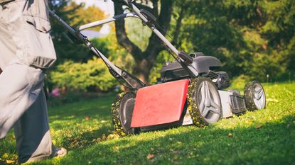 person mowing a lawn in fall