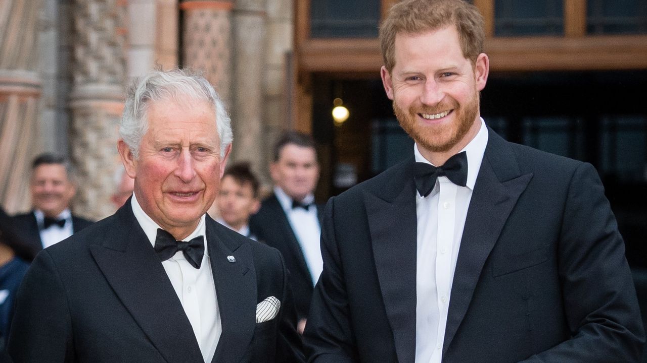 Prince Charles, Prince of Wales and Prince Harry, Duke of Sussex attend the &quot;Our Planet&quot; global premiere at Natural History Museum on April 04, 2019 in London, England. 