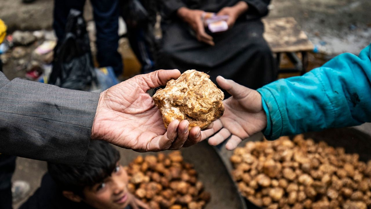 Truffle sellers in Syria’s rebel-held northern city of Raqqa