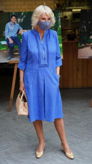 Queen Camilla in a bold blue dress