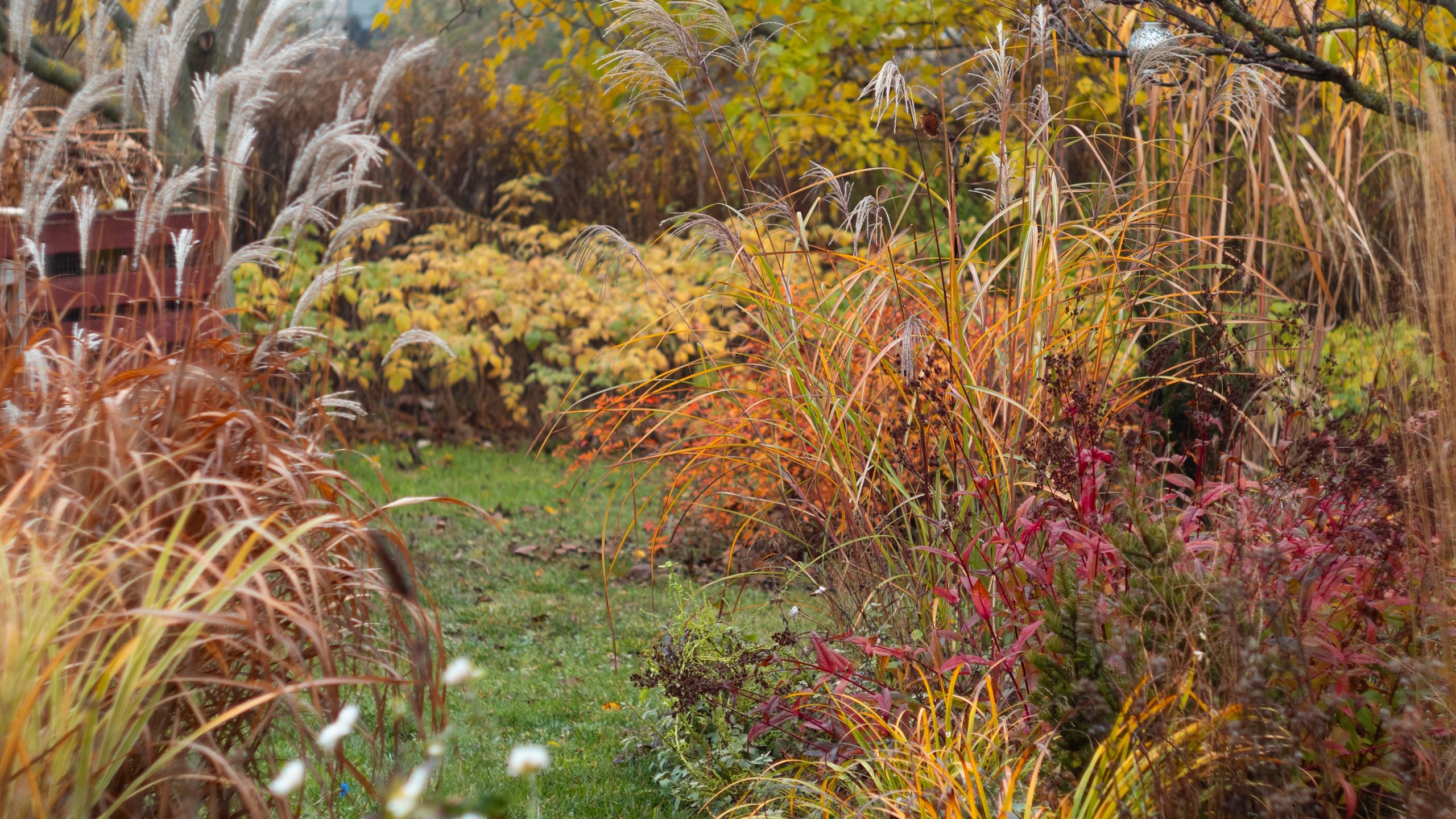 7 Easy Plants to Propagate in October – Get More Plants for Your Home and Garden Without Spending a Dime