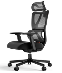 ProtoArc Ergonomic Office Chair