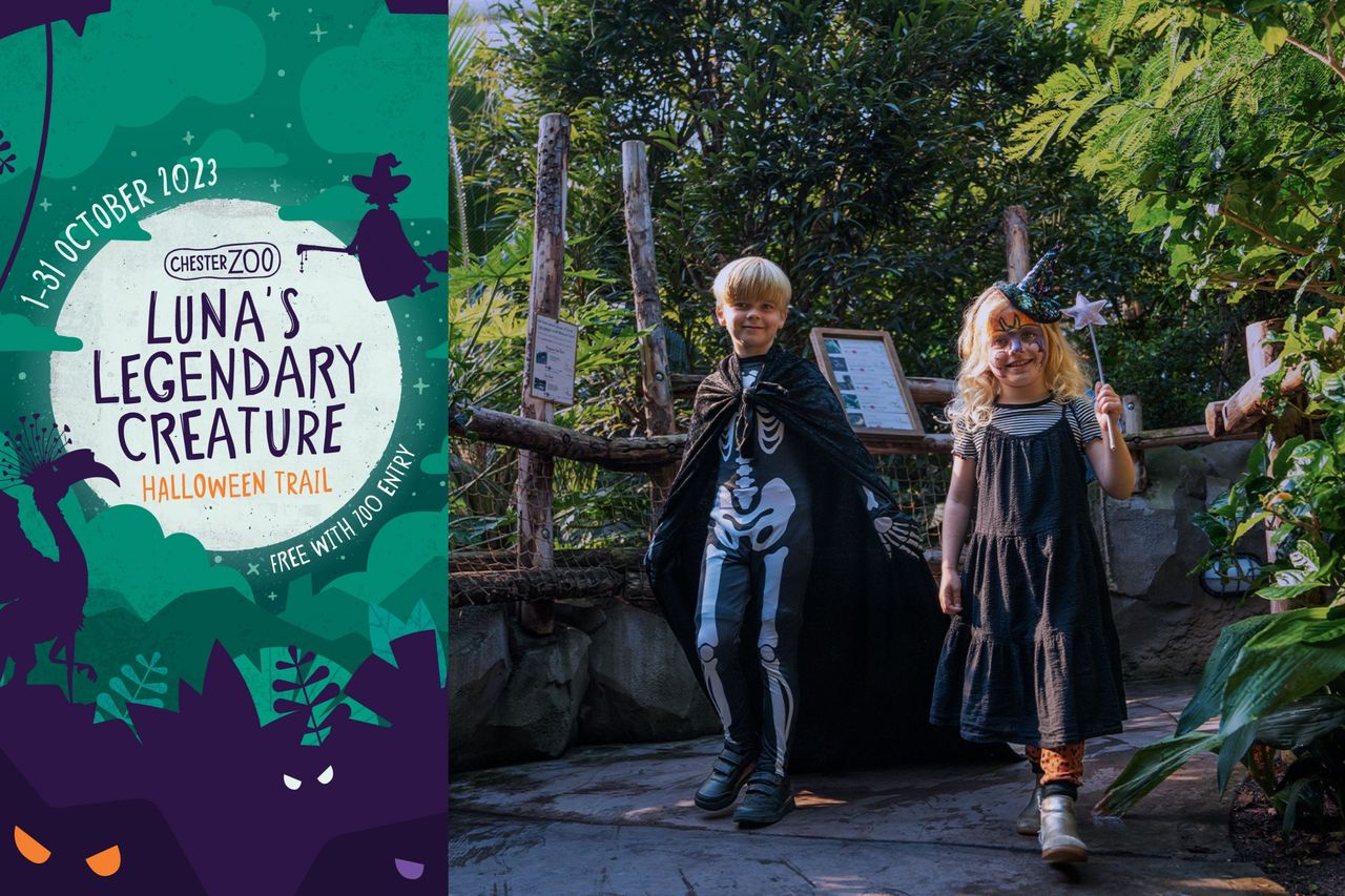 Boy and girl dressed in Halloween costumes walking around Chester Zoo alongside a poster of the new Halloween trail