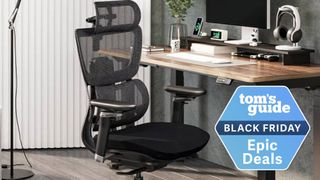 FlexiSpot C7 chair
