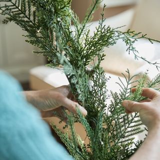 Hand holding and fluffing out a piece of foliage for a DIY Christmas garland