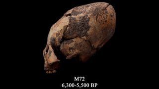 The M72 skull is between 6,300 and 5,500 years old.