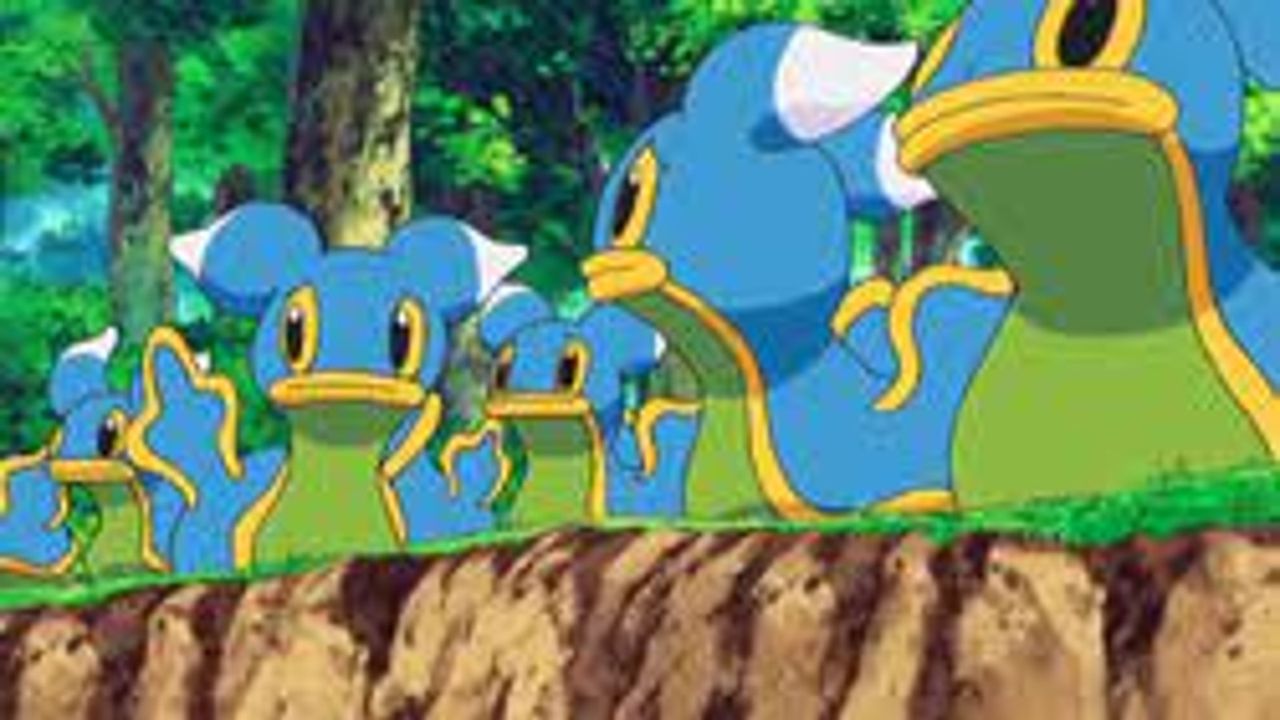 blue shellos