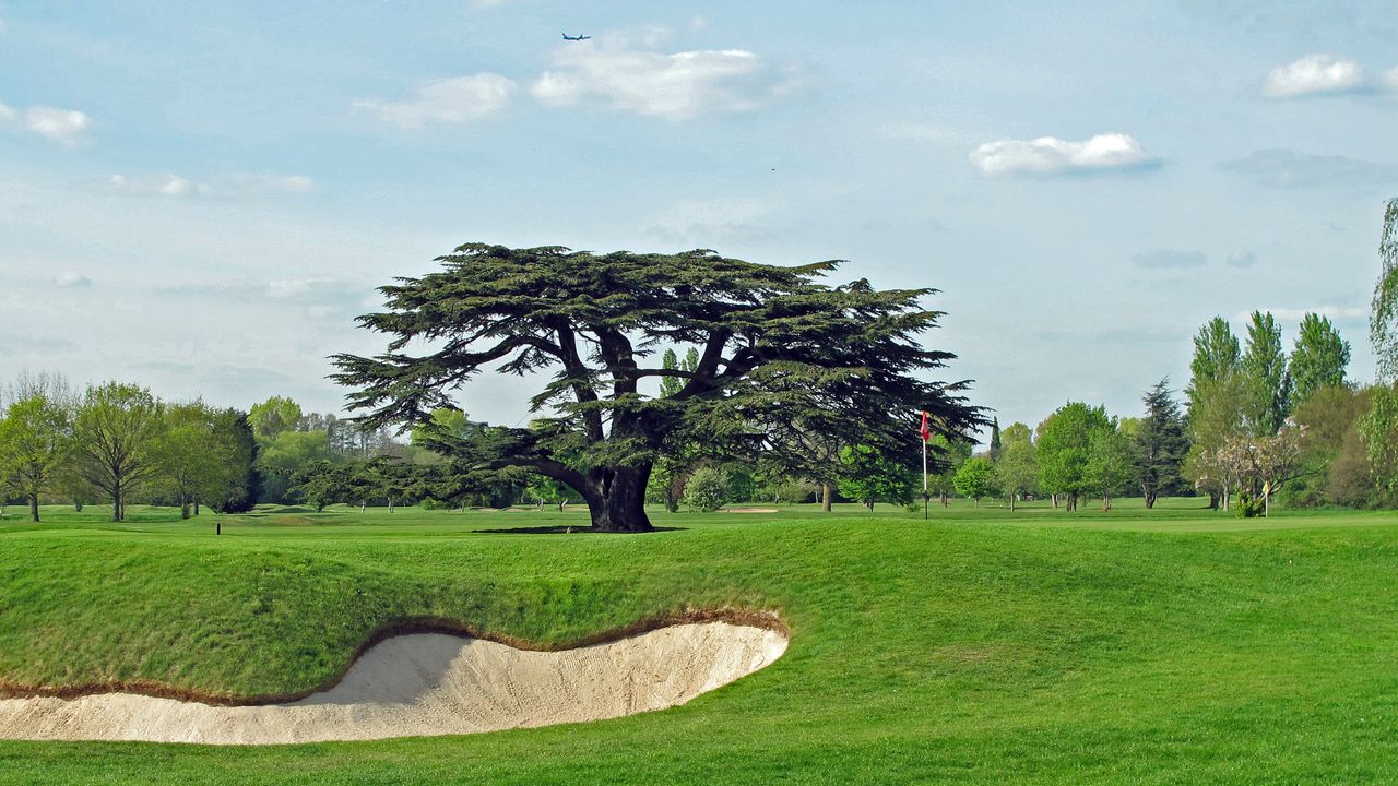 Royal Mid-Surrey - Hole 17 Feature