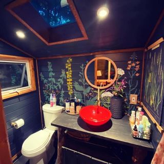 bathroom with wall mural and red basin