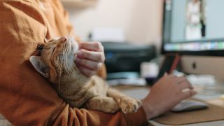 Woman at computer stroking cat