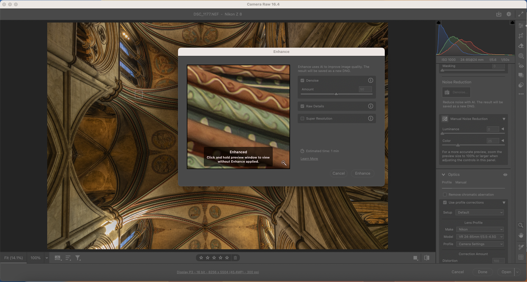 Noise reduction process in Adobe Camera Raw