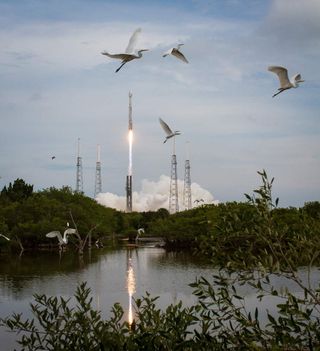 MAVEN Launch With Birds