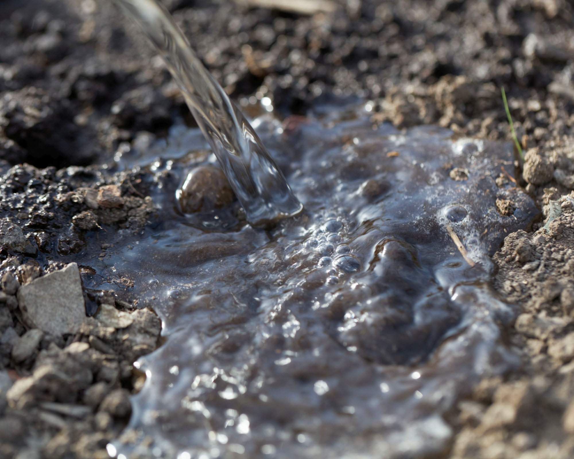 pouring water on dry soil