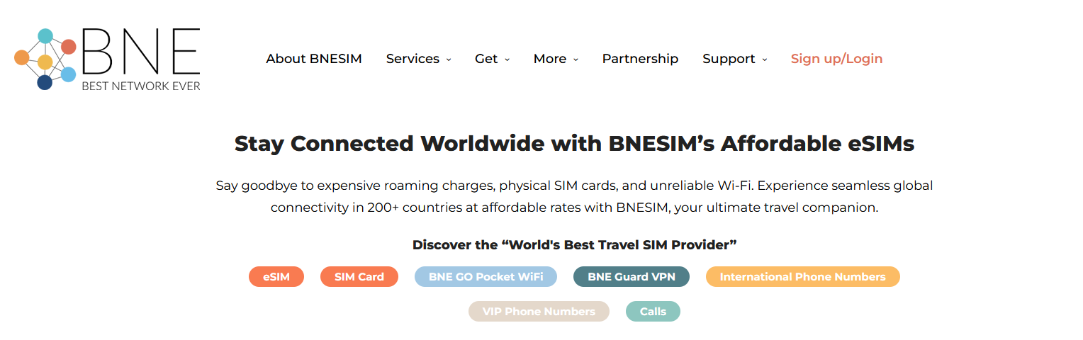 Website screenshot for BNESIM
