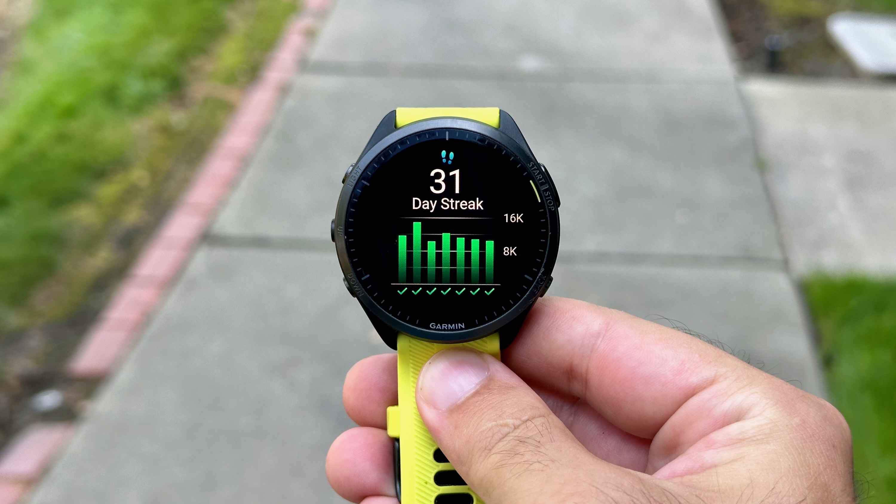 Gráfico de uma série de caminhada de 31 dias em um Garmin Forerunner 965.