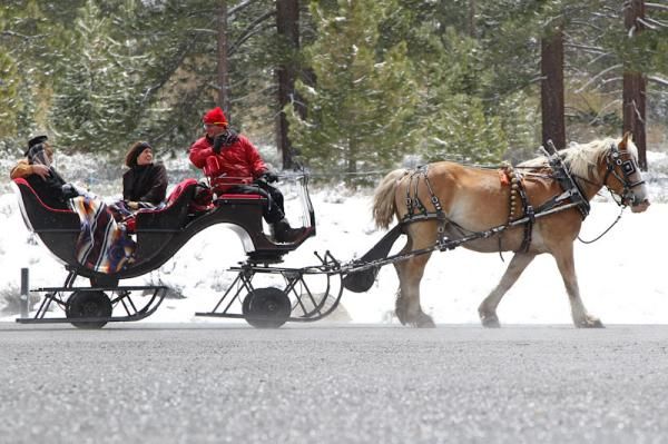 Stage one of the Amgen Tour of California was best spent on a sleigh.