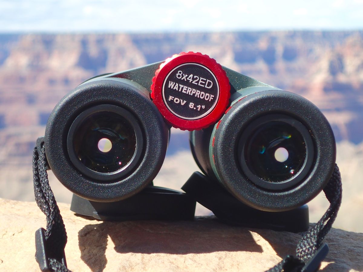 oberwerk 8x42 sport ed