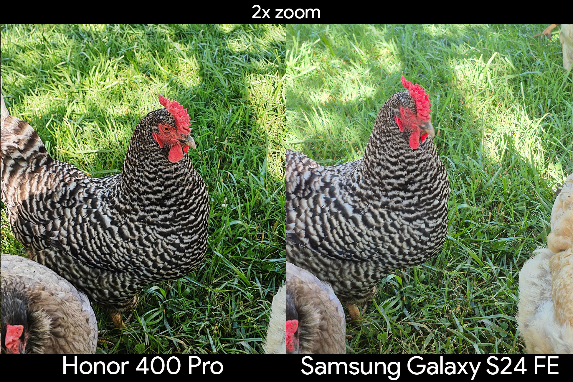 Comparing 2x zoom photos taken from an Honor 400 Pro vs Samsung Galaxy S24 FE