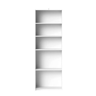A tall white bookcase