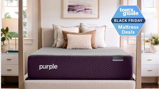 Purple and grey Purple RestorePremier Hybrid mattress on four pane bed base in bedroom with two white bedside tables, lamps and plants.