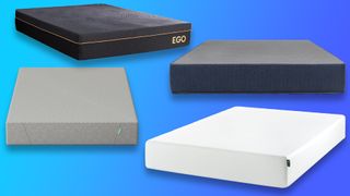 Clockwise from left to right, the EGOHOME Black Memory Foam Mattress, Brooklyn Bedding DreamFoam Mattress, Zinus Green Tea Memory Foam Mattress, and Siena Signature Mattress against a blue background