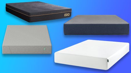 Clockwise from left to right, the EGOHOME Black Memory Foam Mattress, Brooklyn Bedding DreamFoam Mattress, Zinus Green Tea Memory Foam Mattress, and Siena Signature Mattress against a blue background