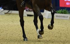 Carl Hester riding Nip Tuck during the Reem Acra FEI World Cup Dressage Grand Prix Freestyle at The London International Horse Show 2015 at Olympia, London , UK on 16th December 2015