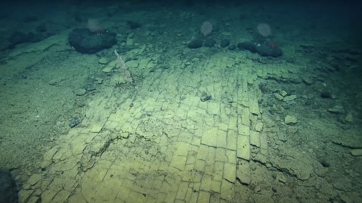 Eerie 'yellow brick road' to Atlantis discovered atop ancient undersea mountain