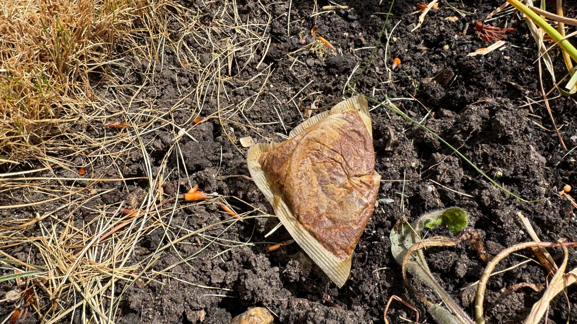 A tea bag next to roses