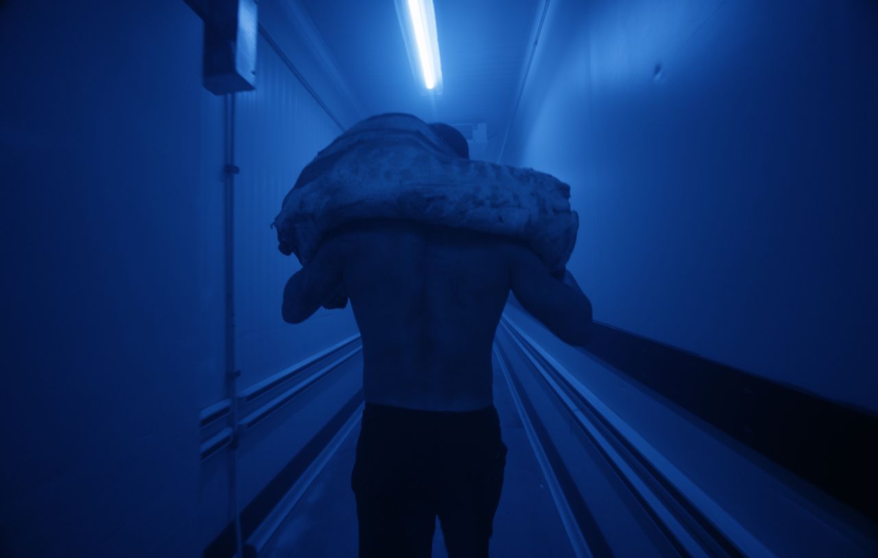 In Venice, a show of provocative works ‘between art and film’ raises the temperature