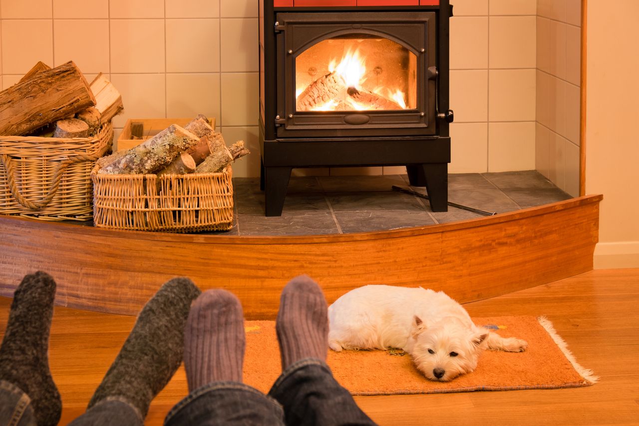 Socks and feet of a couple relaxing by wood-burning stove with west highland terrier dog