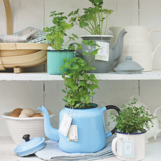 white shelf with herbs in teapots and eggs