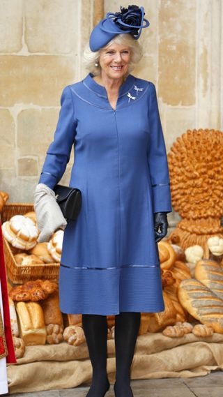 Queen Camilla in a blue coat dress