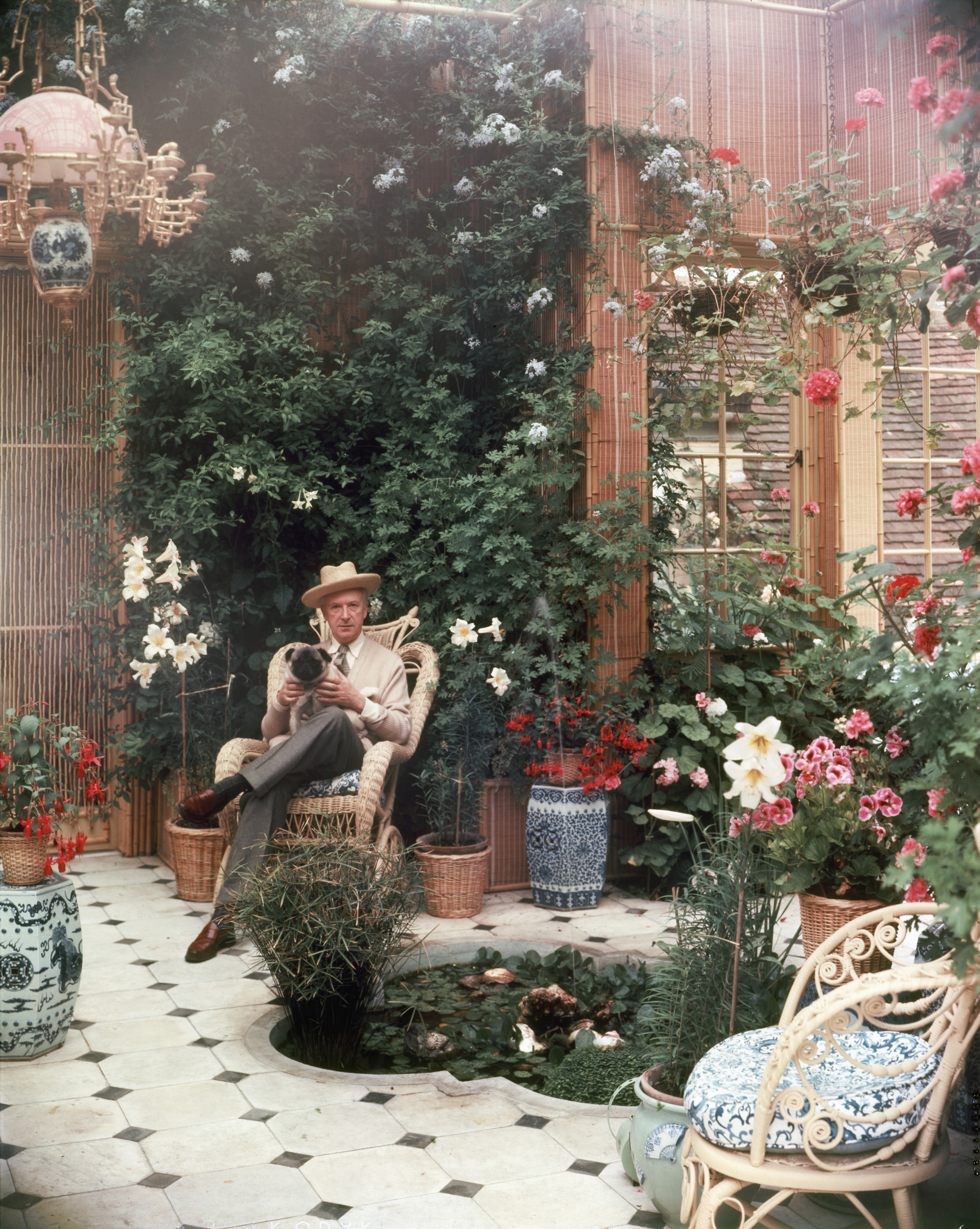 Cecil Beaton self portrait in a greehouse