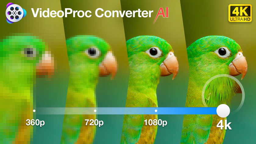 Digiarty VideoProc Convertor AI parrot 