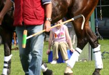 polo23.jpg