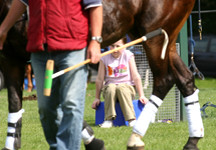 polo23.jpg