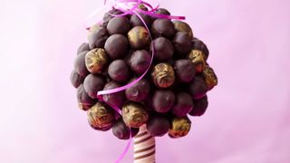 chocolate truffle tree