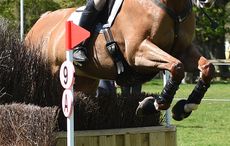 Caroline Turner riding FINDON FINAL FLING in the BE100 section of The Mitsubishi Motors Cup during The Mitsubishi Motors Badminton Horse Trials at Badminton in Gloucestershire, UK on 4th May 2016