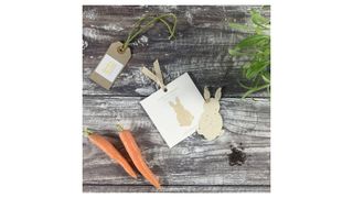 The rabbit-shaped seed planter next to the packaging, some carrots, a tag with a label which tells you what the seeds are, and a green plant in the top right corner.