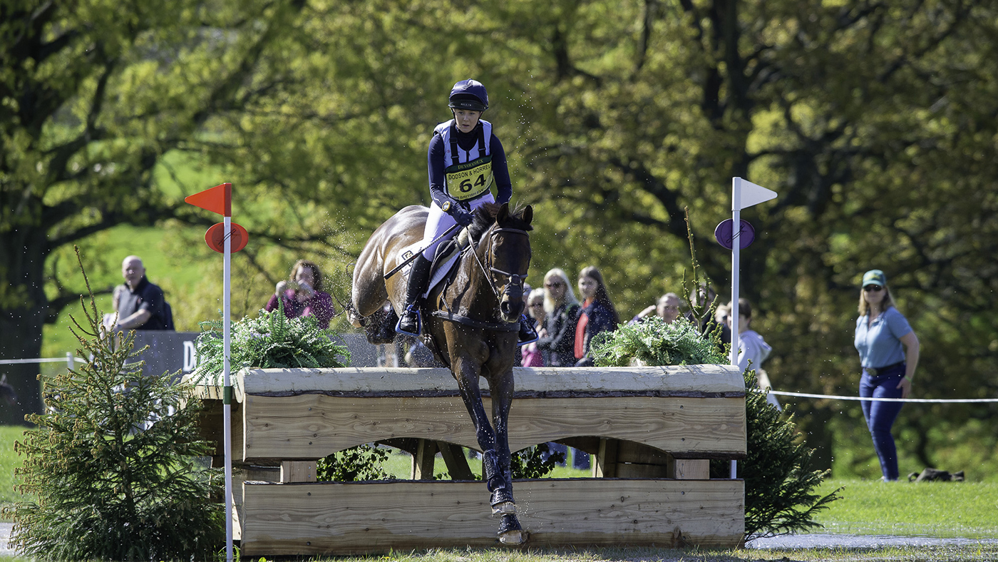 Chatsworth pictures 2019