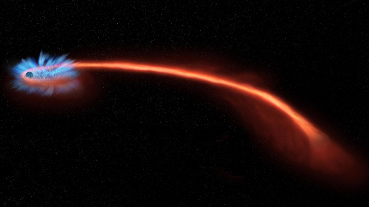 Cosmic crime scene reveals how black holes turn stars into 'spaghetti'