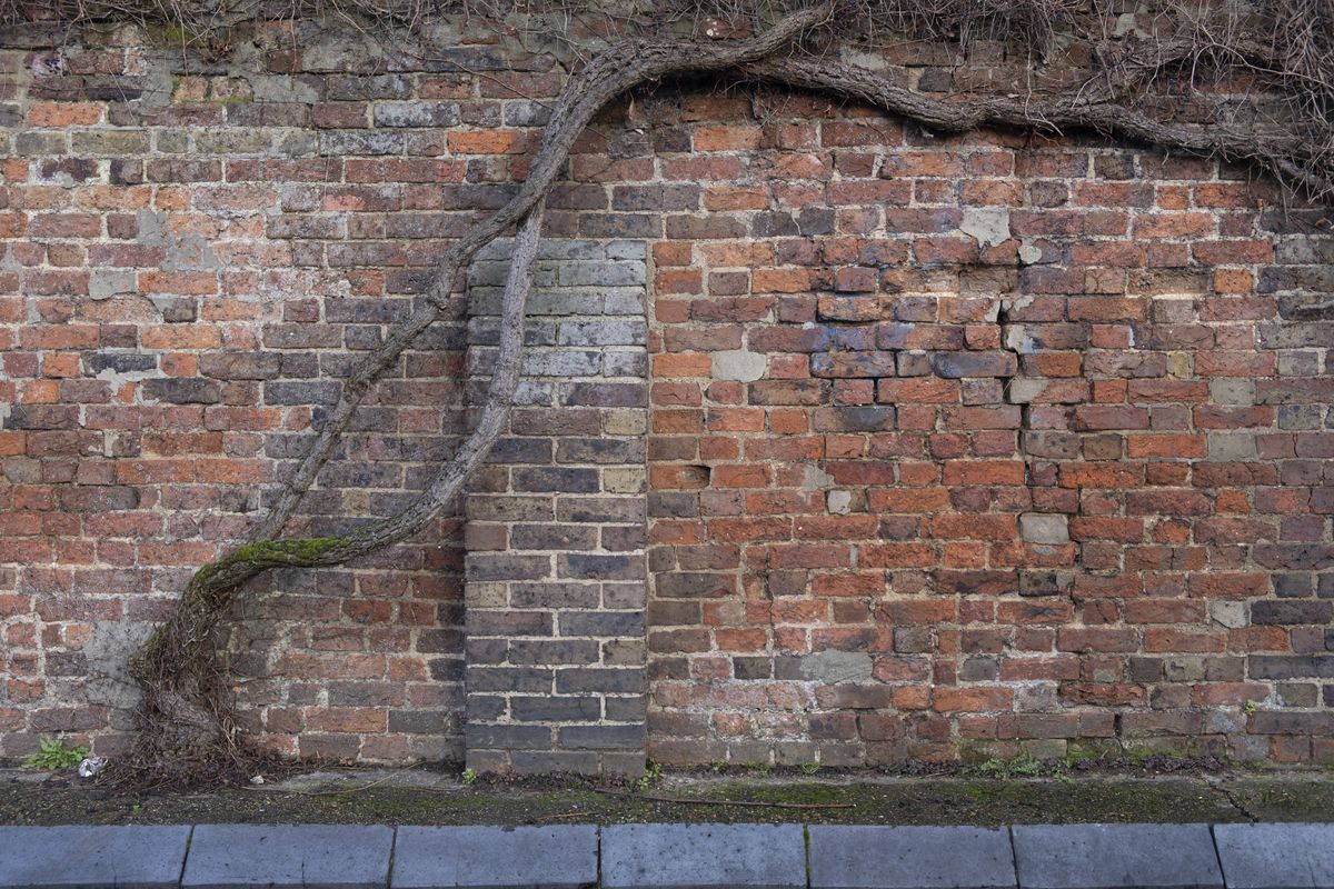 Fujifilm X-S10 sample images