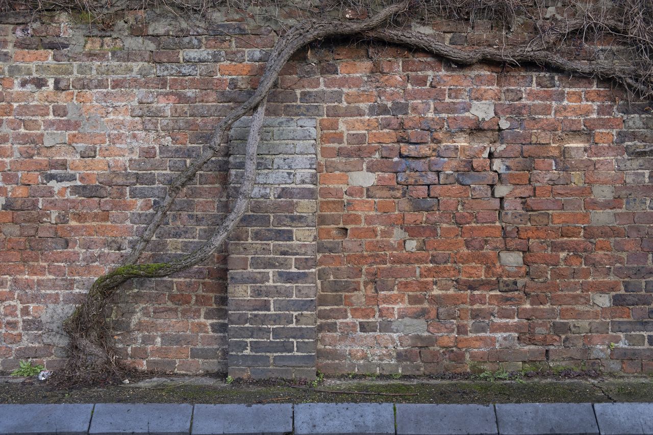 Fujifilm X-S10 sample images