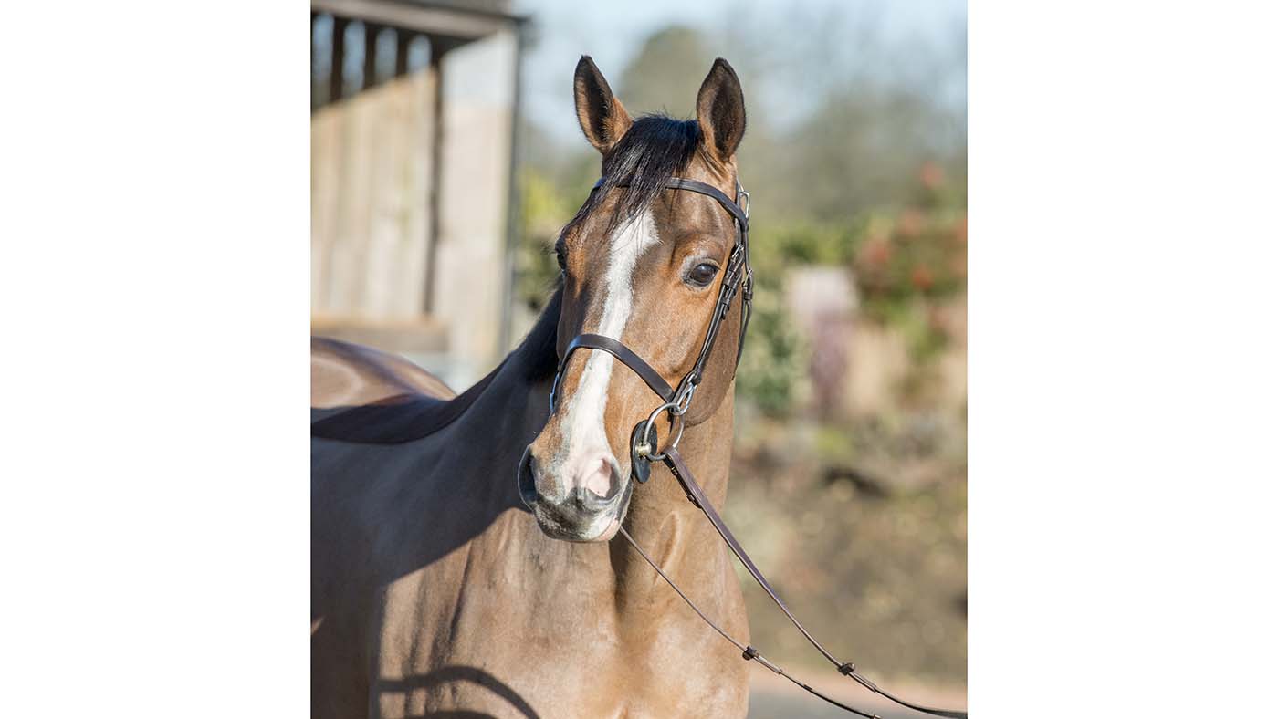 Harry Charles 28 01 2019 Victor