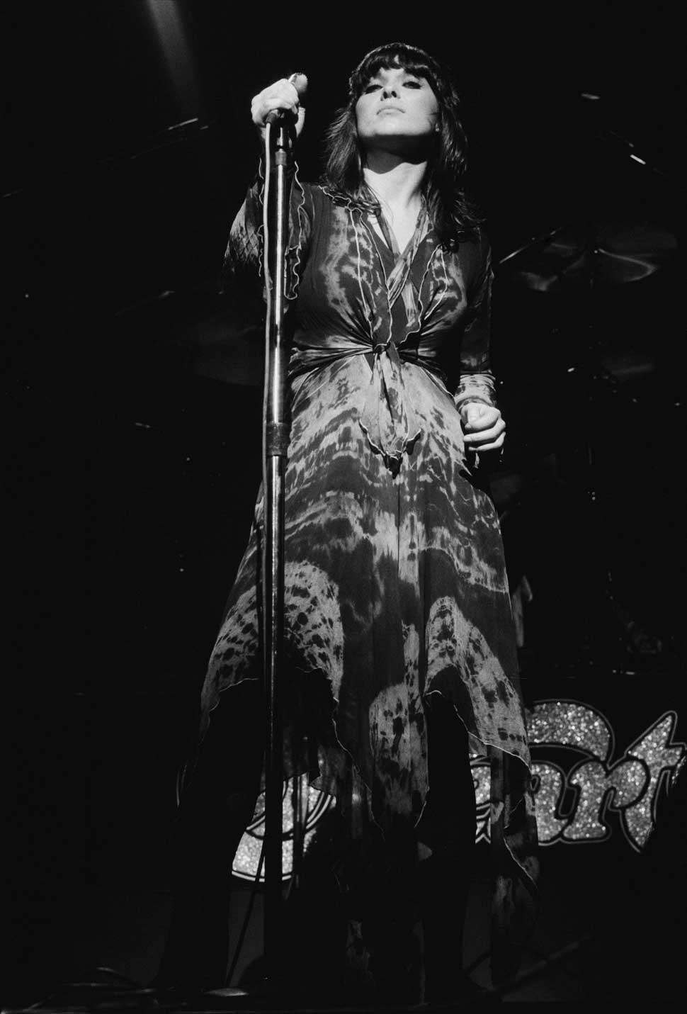 Ann Wilson onstage