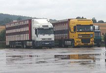 lorries.jpg