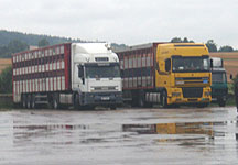 lorries.jpg