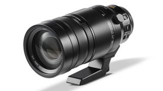 Panasonic Leica DG 100-400mm f/4-6.3